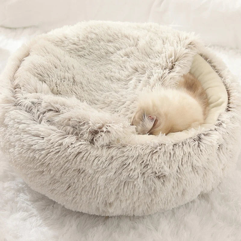 S4bc2079448dc49c4919bbec5a2e58388Z