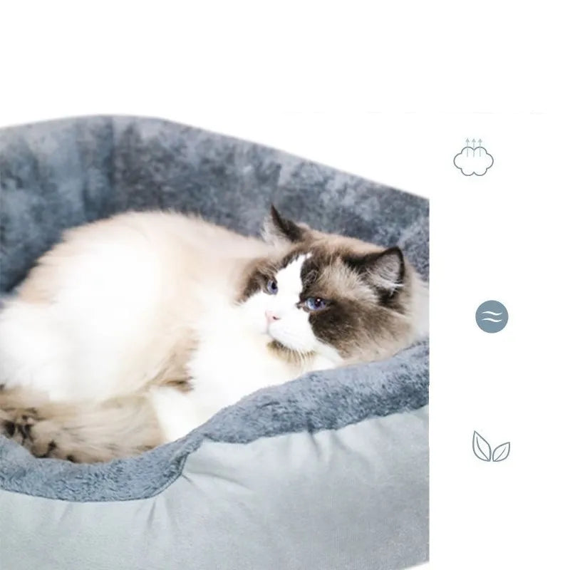 S776c86df5d5140e881882c7e707061a7p