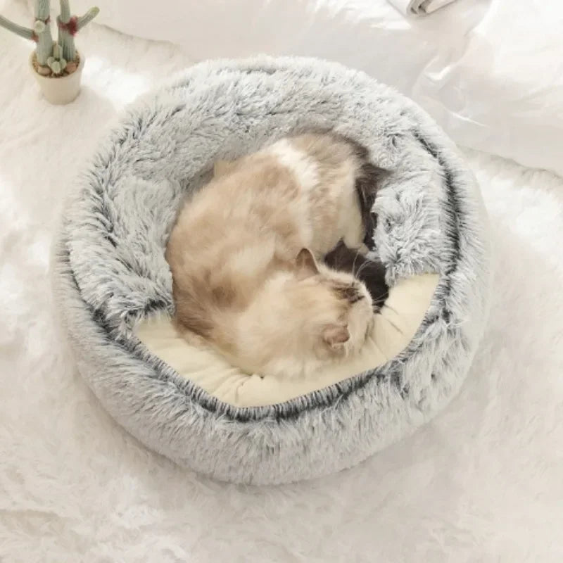 Sd7edd406a83a4da6be589e8a440224f6h